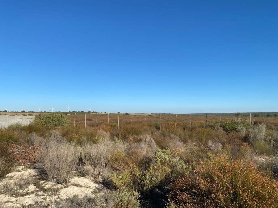 0 Bedroom Property for Sale in Hopefield Western Cape